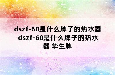 dszf-60是什么牌子的热水器 dszf-60是什么牌子的热水器 华生牌